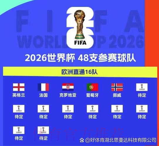 2026世界杯比赛预测：热门球队与赛果分析